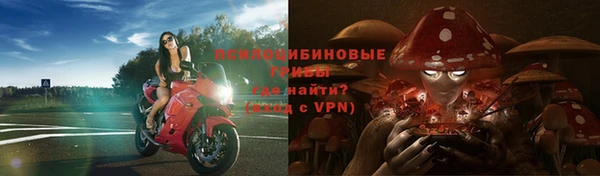 гидропоника Балабаново
