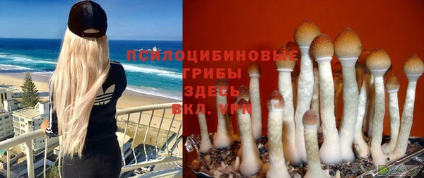 прущая мука Беломорск